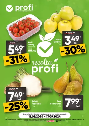 Catalog PROFI Fălticeni | PROFI Revista Fresh Saptamana 2 | 2024-09-11 - 2024-09-17