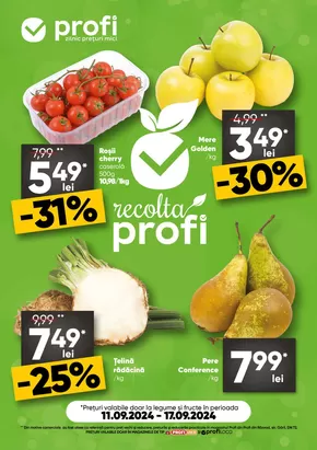 Catalog PROFI Arad | Oferte de top pentru toți vânătorii de chilipiruri | 2024-09-11 - 2024-09-17