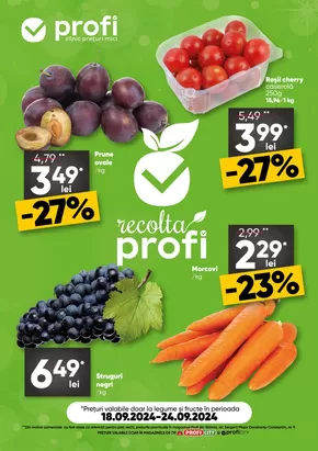 Catalog PROFI Focșani | Chilipiruri și oferte actuale | 2024-09-18 - 2024-09-24