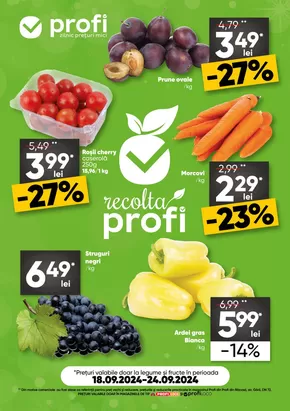 Catalog PROFI Segarcea | Cele mai bune oferte pentru dumneavoastră | 2024-09-18 - 2024-09-24