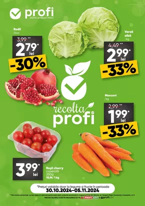 Catalog PROFI Ștei | Gamă largă de oferte | 2024-10-31 - 2024-11-14