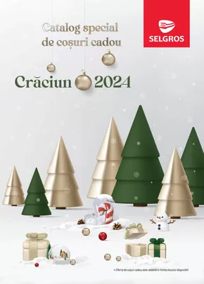 Catalog Selgros Ploiești | COȘURI CADOU DE CRĂCIUN | 2024-11-05 - 2024-12-25