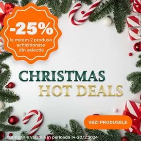 Catalog Help Net Pitești | Christmas Hot Deals | 2024-12-16 - 2024-12-20