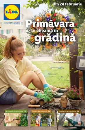 Catalog Lidl Călărași | pentru perioada 24.02-13.04.2025 | 2025-02-19T00:00:00.000Z - 2025-04-13T00:00:00.000Z